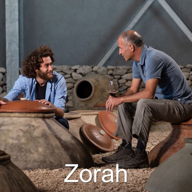 ARM Zorah