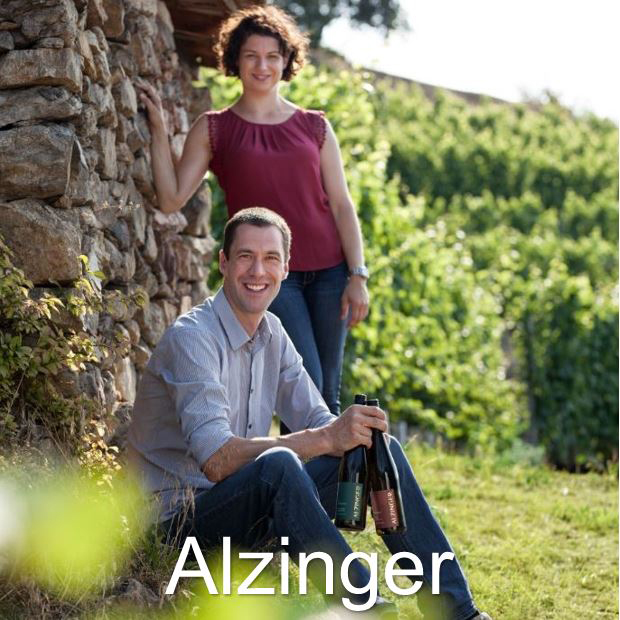 1 Alzinger th