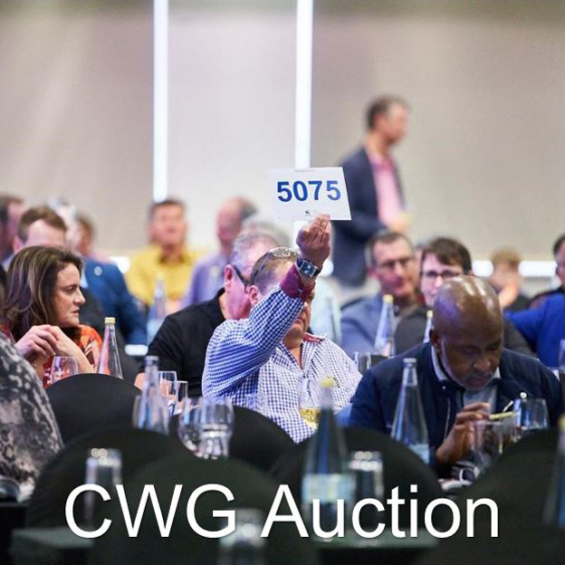 Cape Winemakers Guild